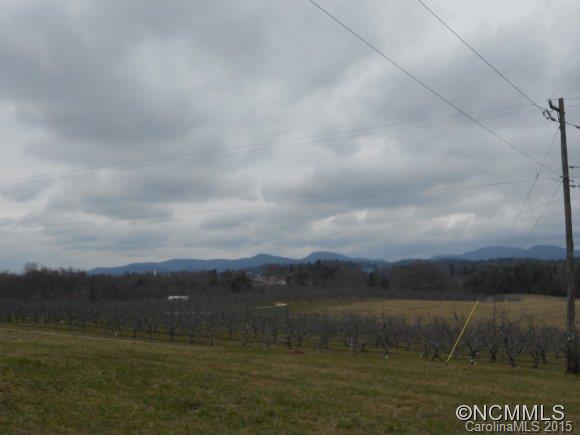 205 Lane Road Flat Rock, NC 28731 - Photo 2 of 10 Gallery Image 2