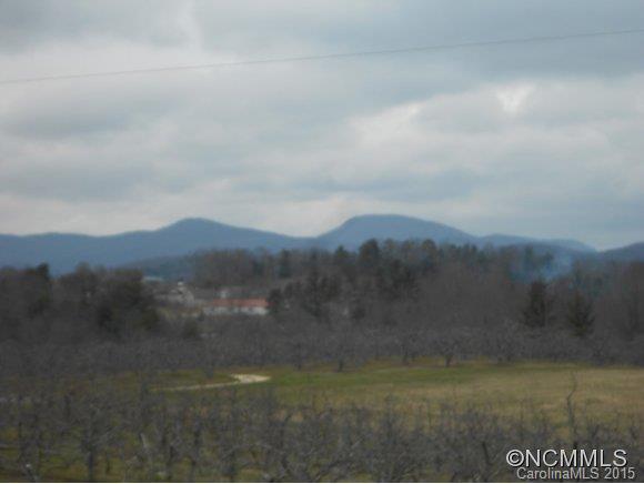 205 Lane Road Flat Rock, NC 28731 - Photo 3 of 10 Gallery Image 3