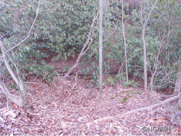 205 Lane Road Flat Rock, NC 28731 - Photo 9 of 10 Gallery Image 9