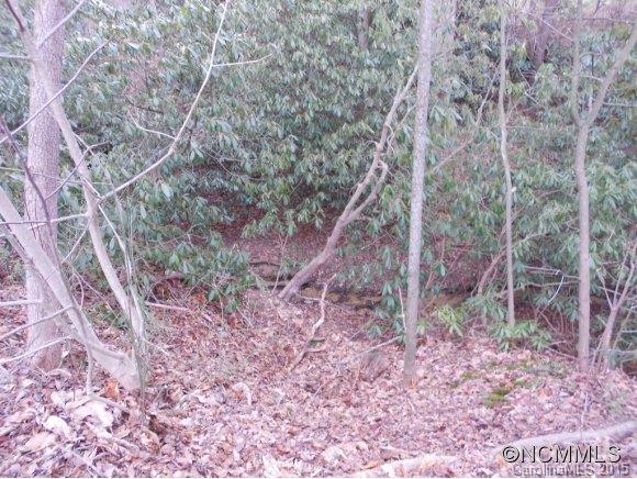 205 Lane Road Flat Rock, NC 28731 - Photo 10 of 10 Gallery Image 10