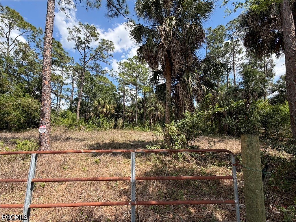 8261 Scarecrow Road North Fort Myers, FL 33917 - Photo 7 of 10