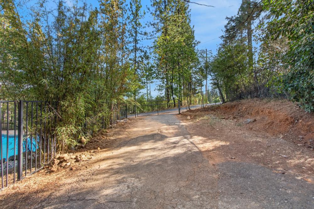 17891 Lake Arthur Road Applegate, CA 95703 - Photo 34 of 73 Gallery Image 34