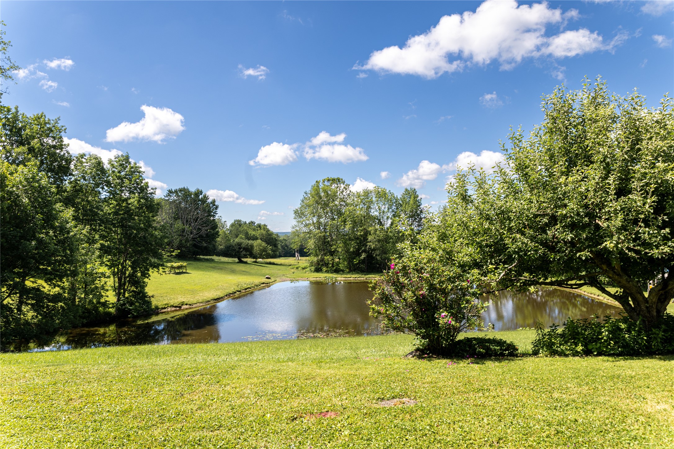 29677 Watson Road Cambridge Springs, PA 16403 - Photo 49 of 50 Side view of the pond