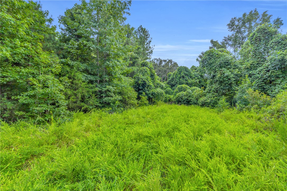 0 Old Norris Road Liberty, SC 29657 - Photo 15 of 20