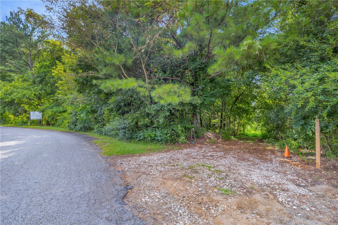 0 Old Norris Road Liberty, SC 29657 - Photo 8 of 20 Gravel Entry - 50ft wide easement