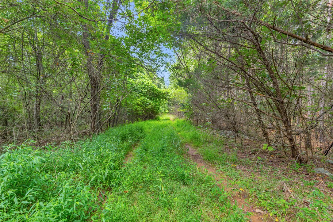 0 Old Norris Road Liberty, SC 29657 - Photo 10 of 20 Roadbed