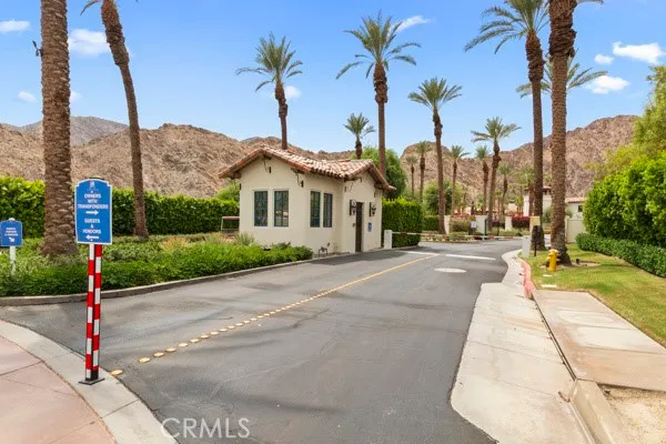a view of a street with a palm tree