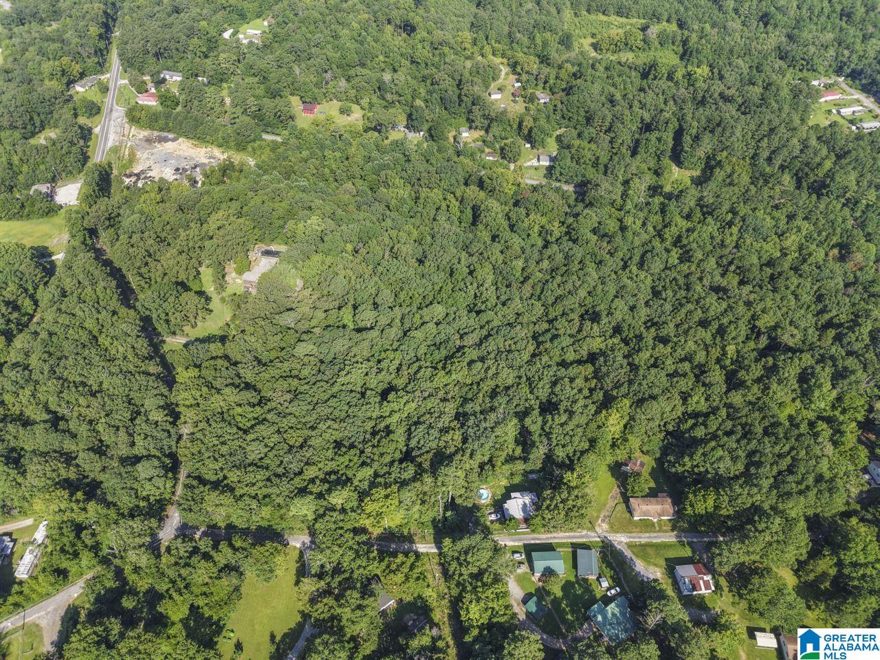 234 Loop Road Odenville, AL 35120 - Photo 23 of 58