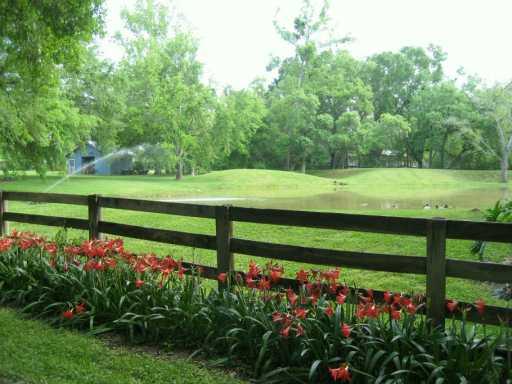 80296 North Willie Road Folsom, LA 70437 - Photo 7 of 8 Gallery Image 7