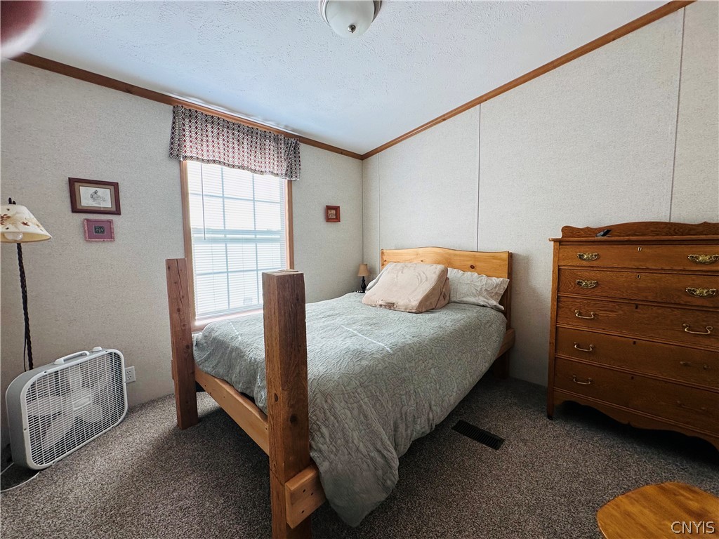 6531 Mc Philmy Road Watson, NY 13343 - Photo 18 of 34