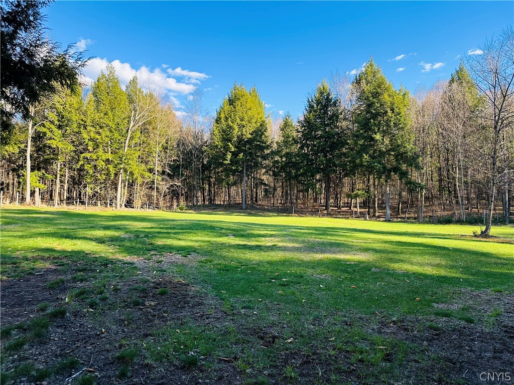 6531 Mc Philmy Road Watson, NY 13343 - Photo 26 of 34