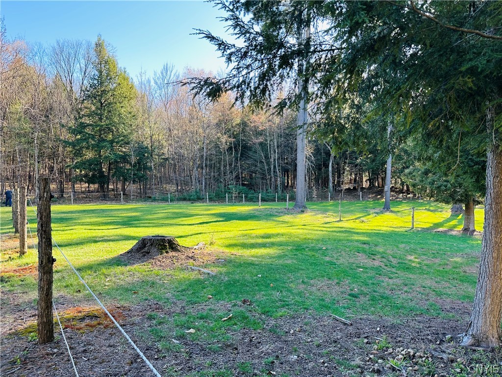 6531 Mc Philmy Road Watson, NY 13343 - Photo 27 of 34