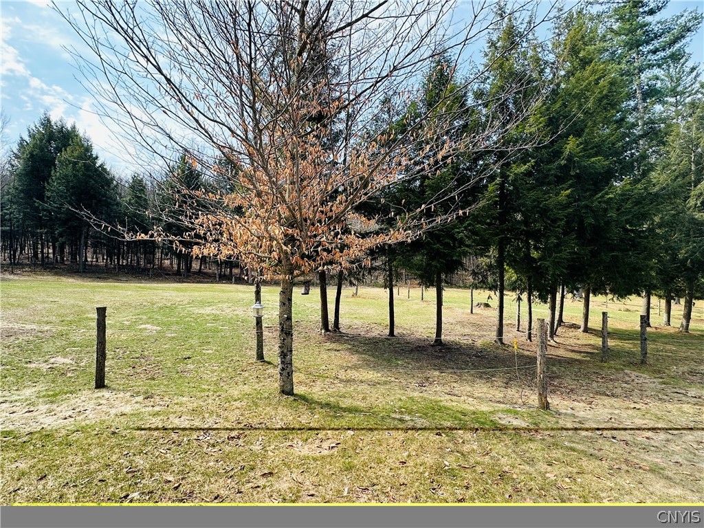 6531 Mc Philmy Road Watson, NY 13343 - Photo 29 of 34