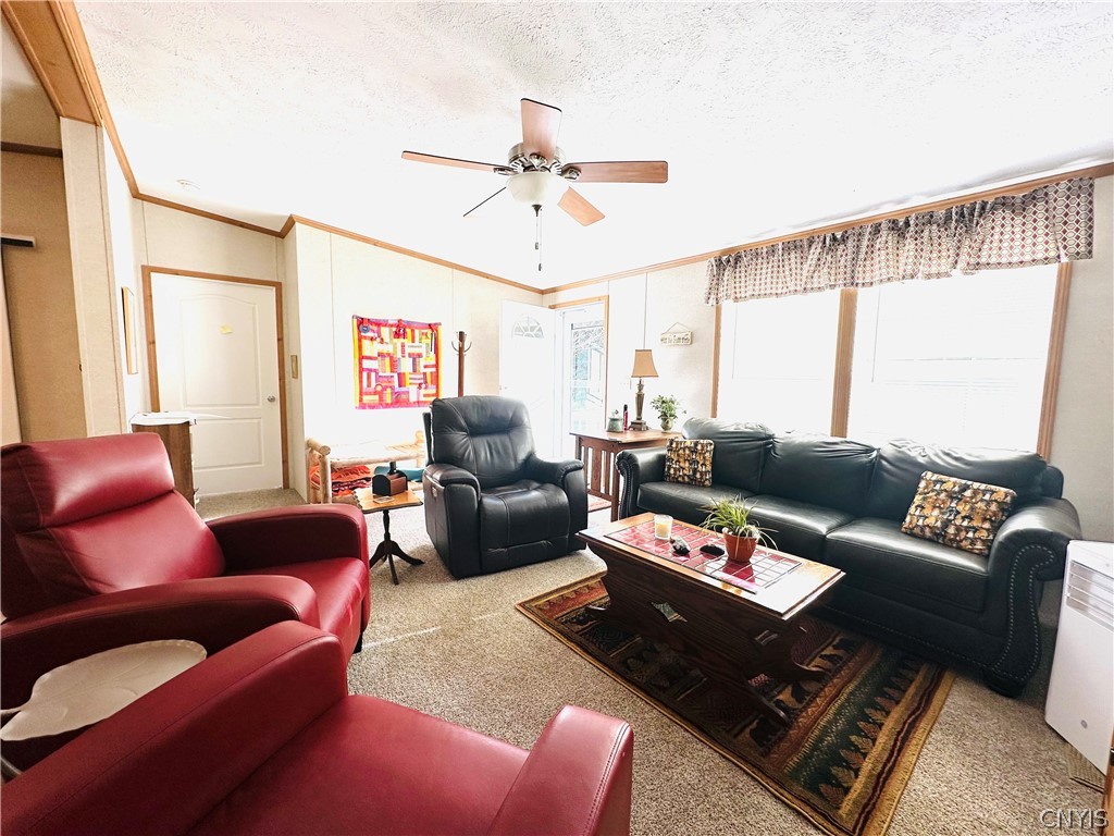 6531 Mc Philmy Road Watson, NY 13343 - Photo 8 of 34