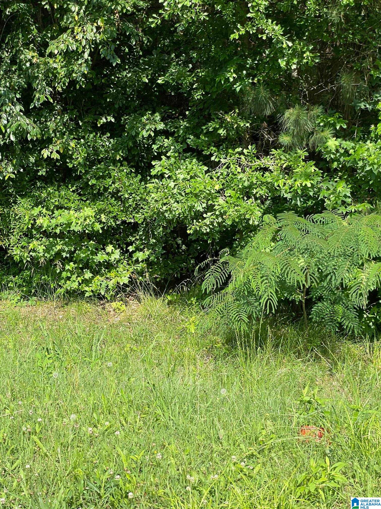 9 Highway 9 South, Unit 5 Lineville, AL 36266 - Photo 3 of 10