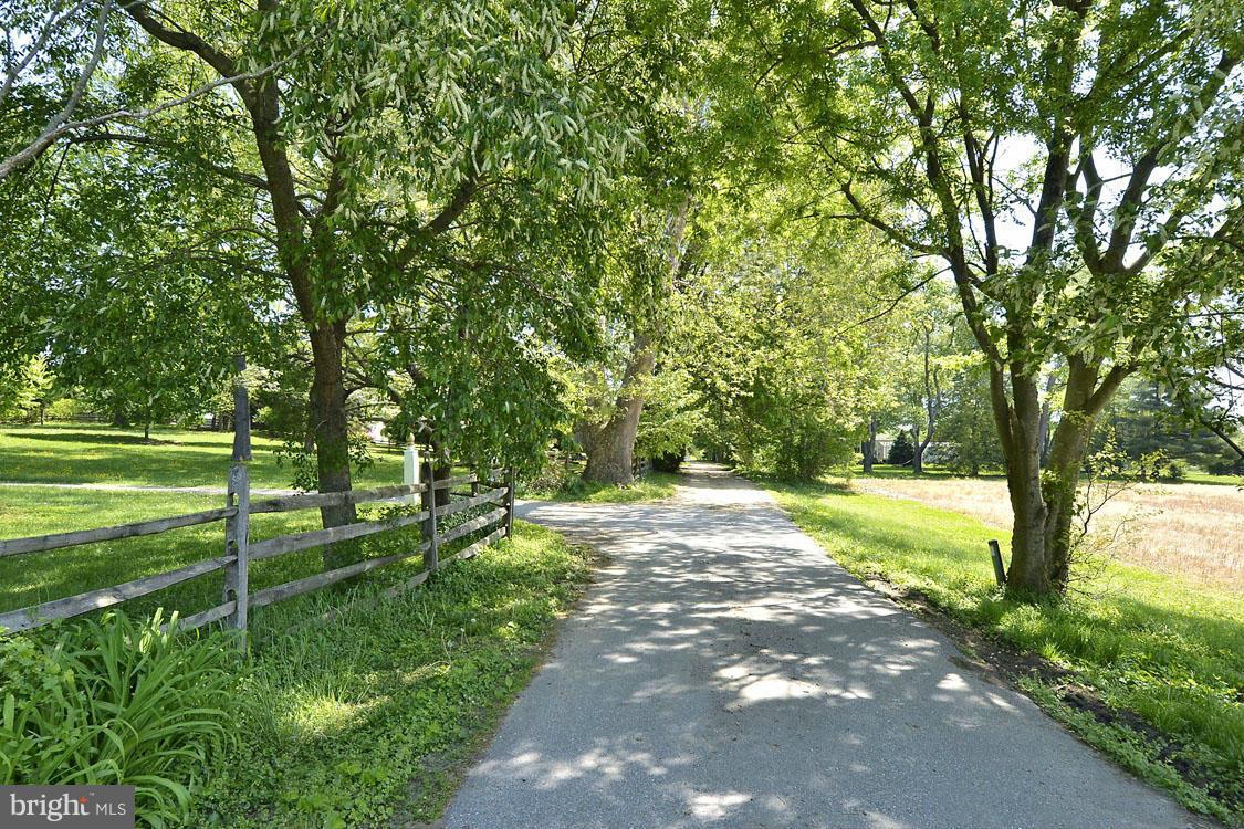 5507 Brooks Woods Road Lothian, MD 20711 - Photo 7 of 30 Tree-Lined Entrance Surrounded by Fields