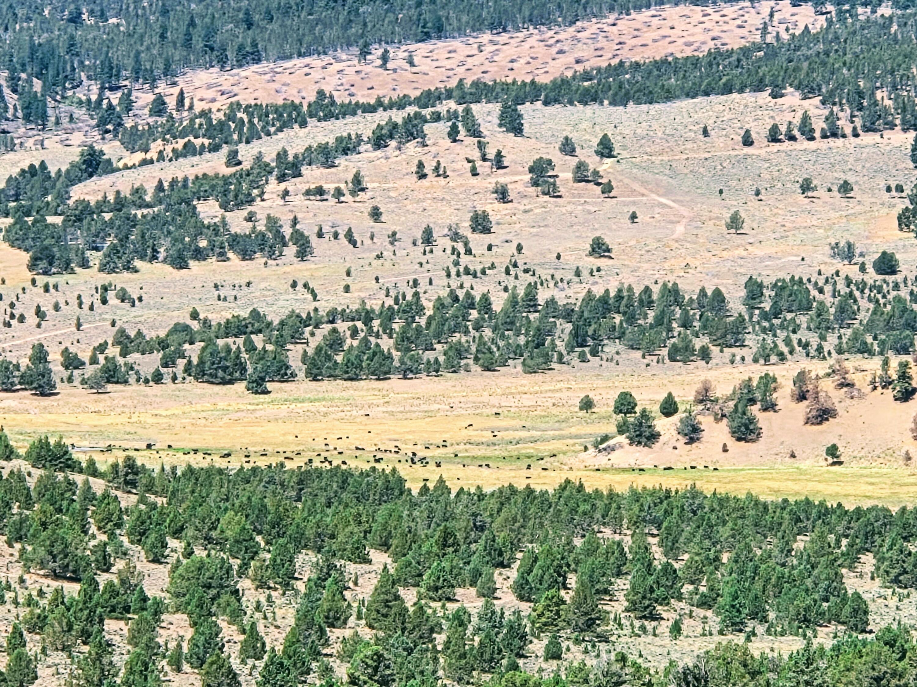 32500 Tackman Road Prineville, OR 97754 - Photo 107 of 112