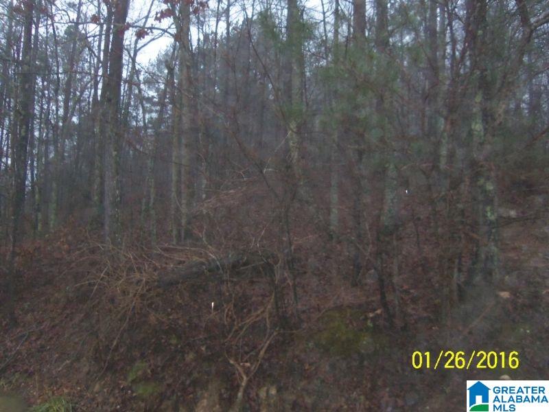 595 Bramlett Road Piedmont, AL 36272 - Photo 4 of 12