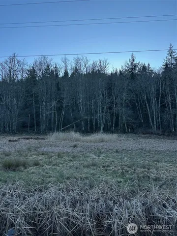 a view of a dry yard with trees in the background