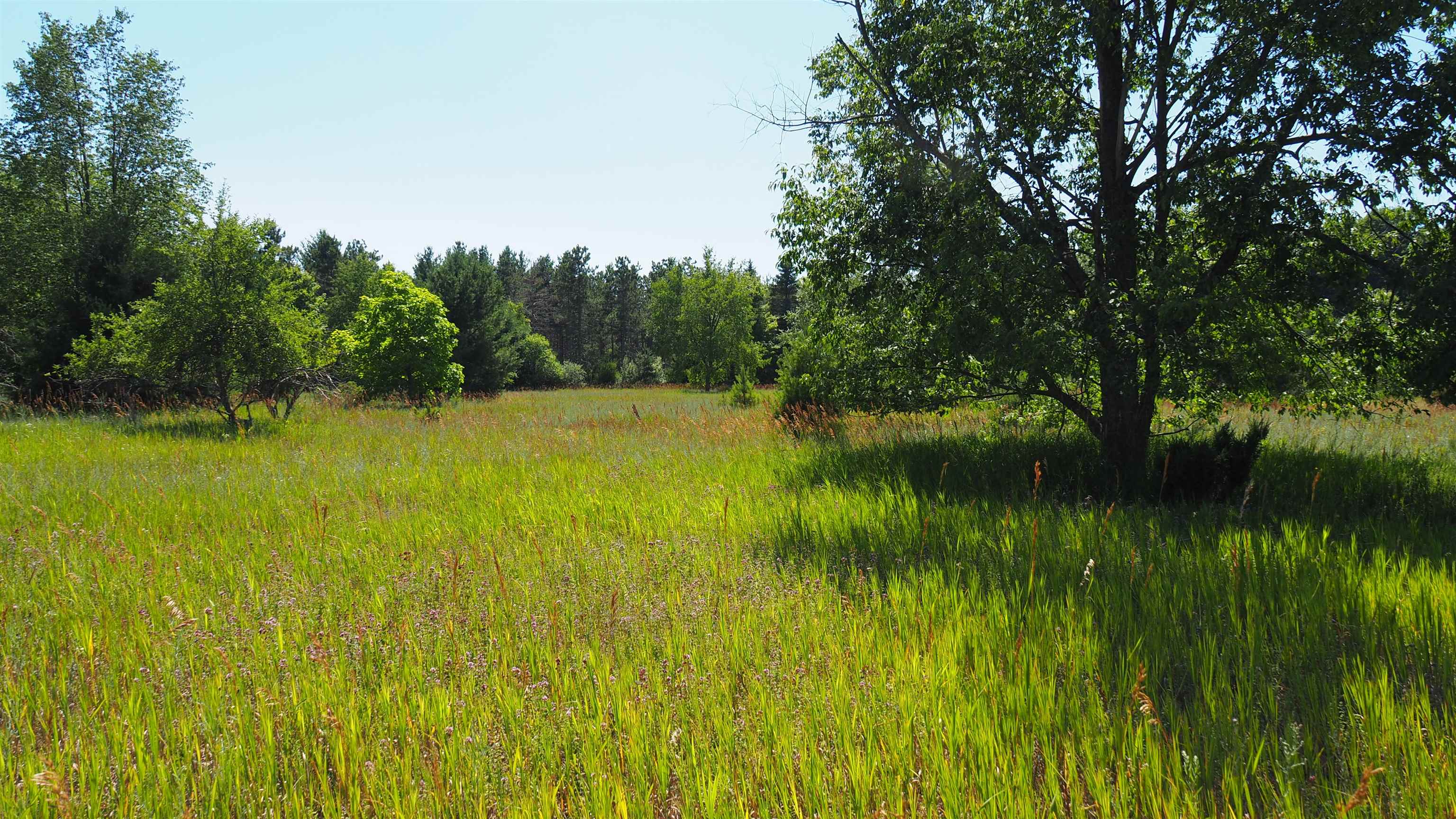 7478 Way Road Honor, MI 49640 - Photo 11 of 48 1905640-10.JPG