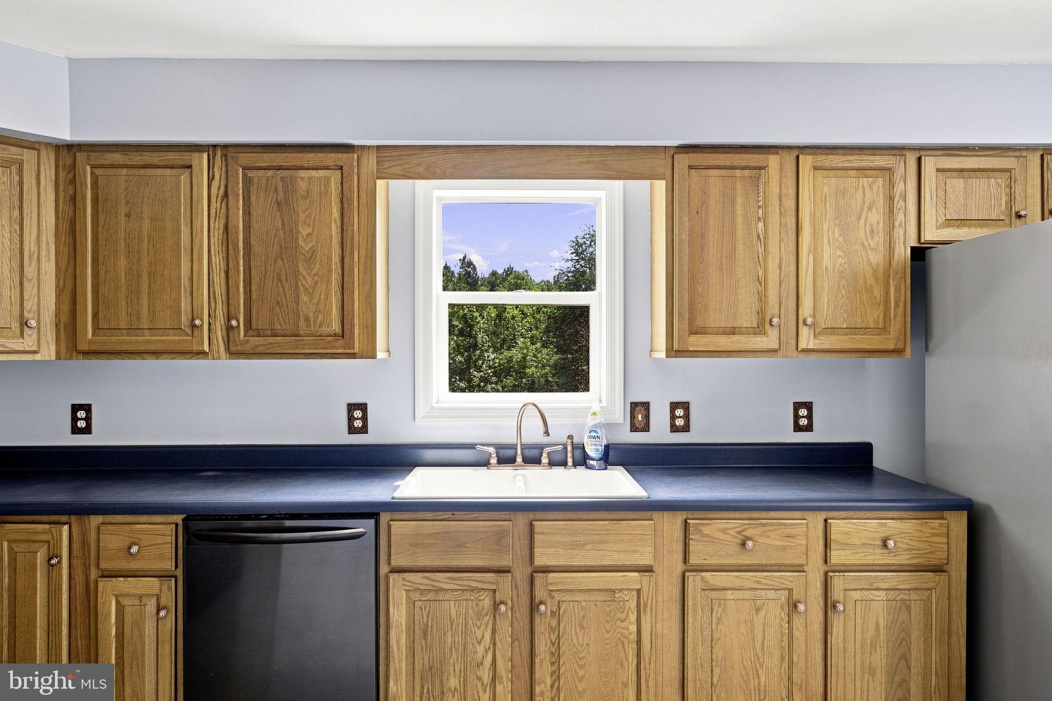 1245 Parish Road Reva, VA 22735 - Photo 15 of 70 Kitchen