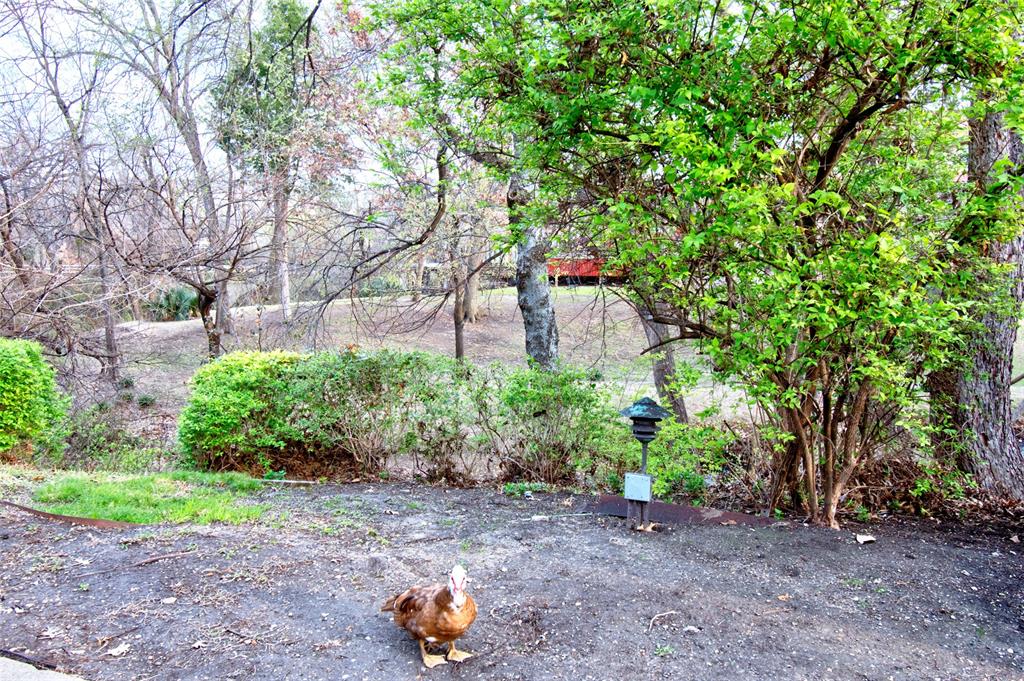 4837 Cedar Springs Road, Unit 304 Dallas, TX 75219 - Photo 24 of 32