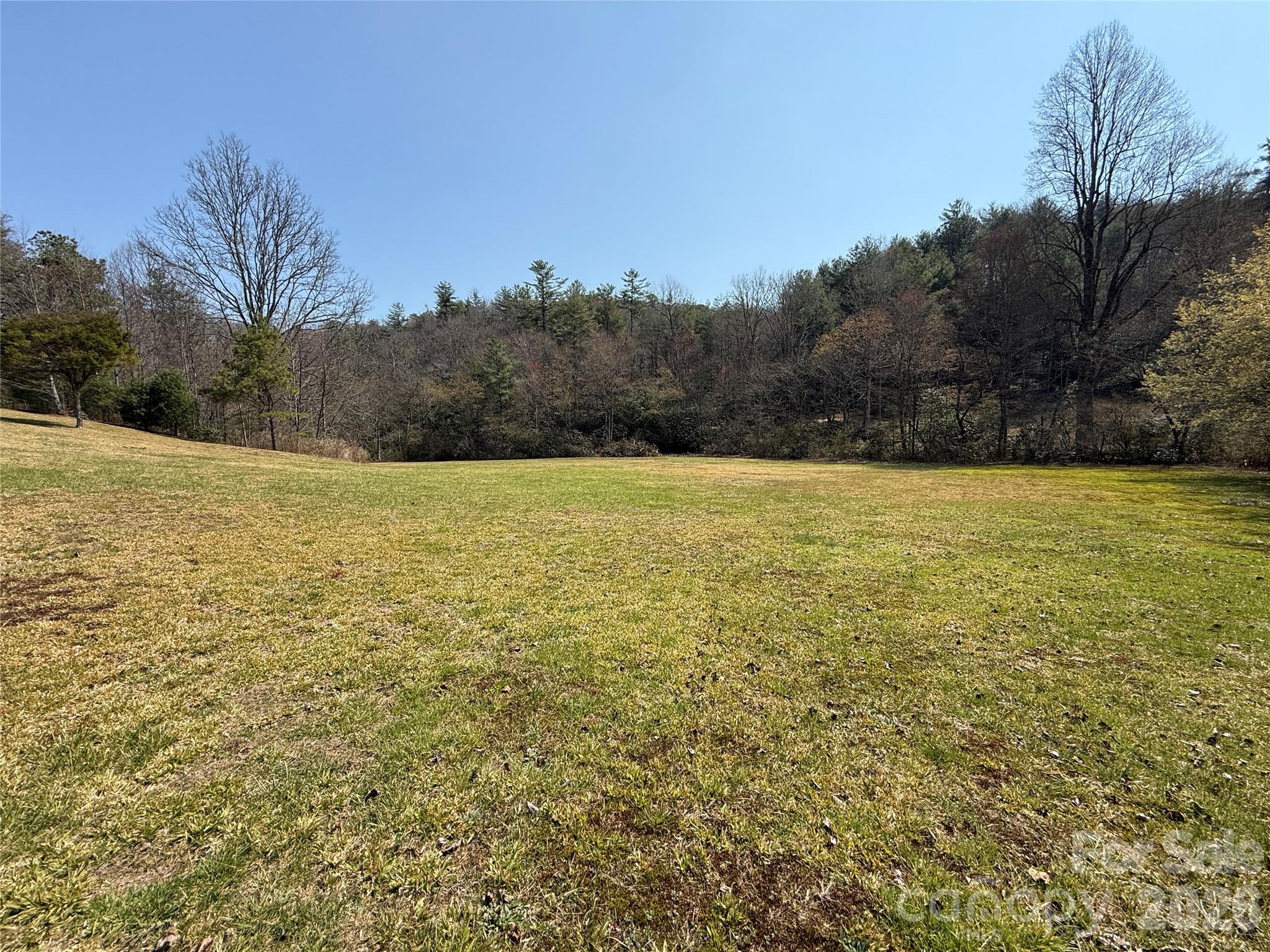 128 Morgan Mountain Road Rosman, NC 28772 - Photo 1 of 48