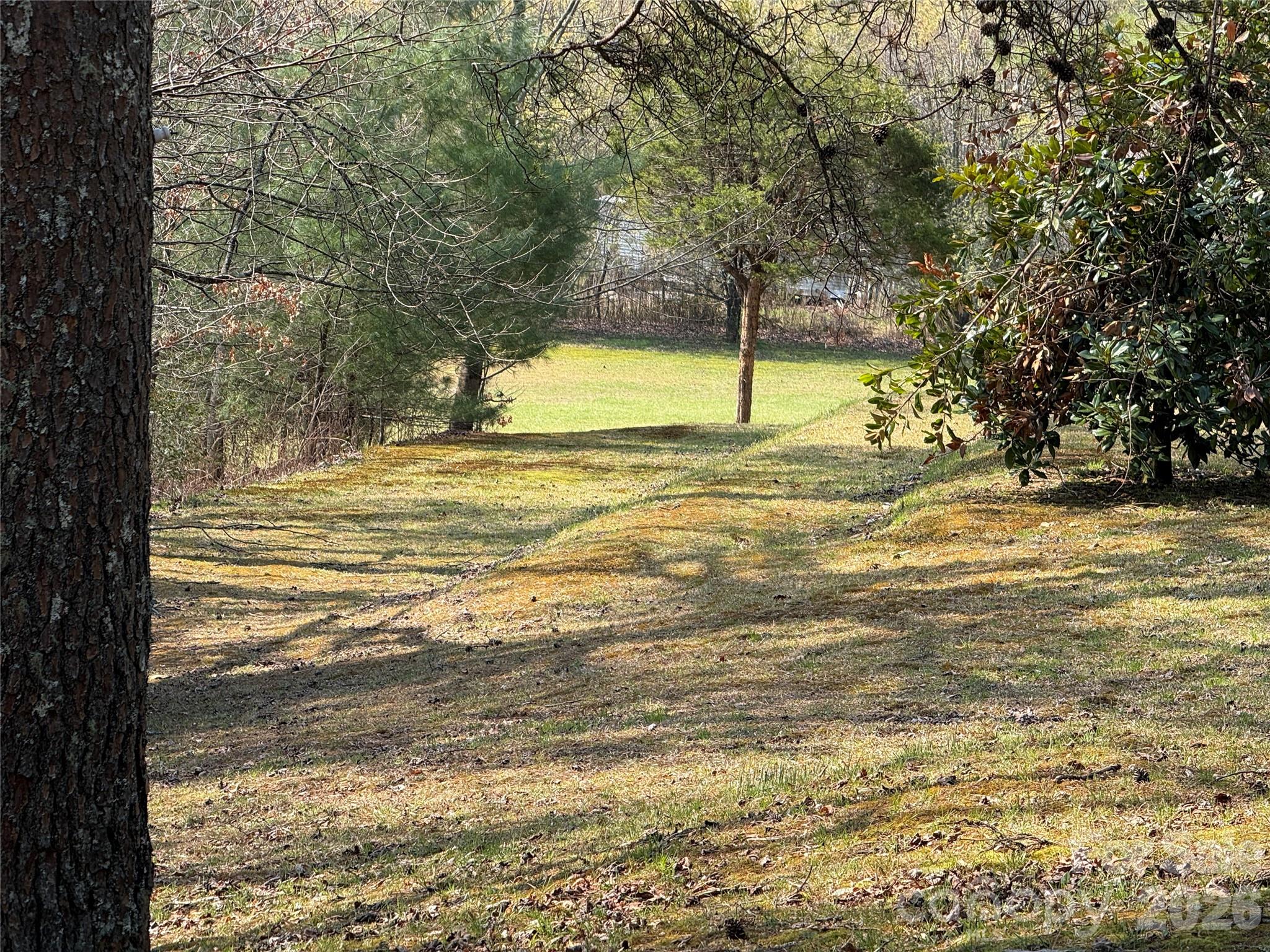 128 Morgan Mountain Road Rosman, NC 28772 - Photo 16 of 48