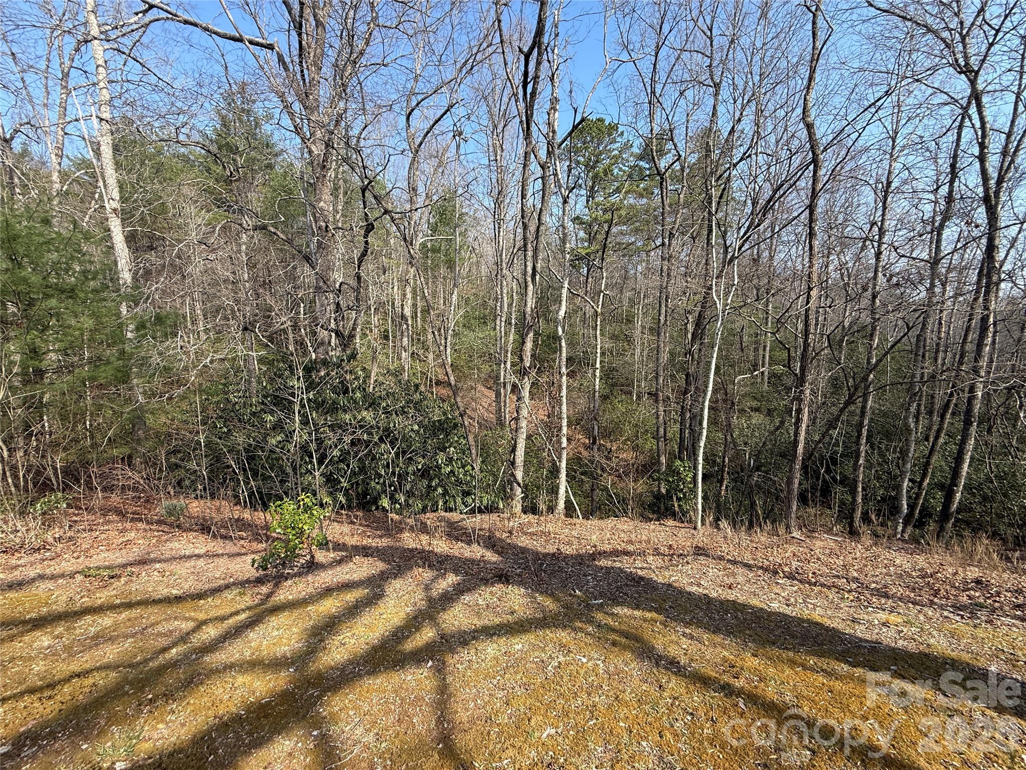 128 Morgan Mountain Road Rosman, NC 28772 - Photo 20 of 48
