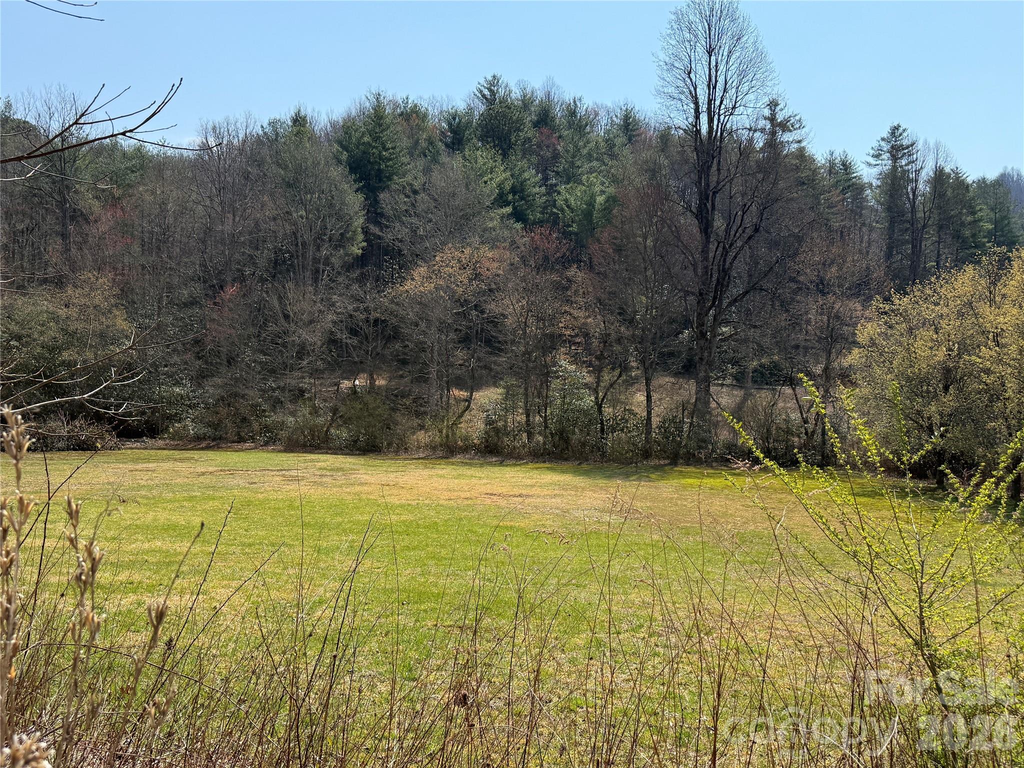 128 Morgan Mountain Road Rosman, NC 28772 - Photo 3 of 48