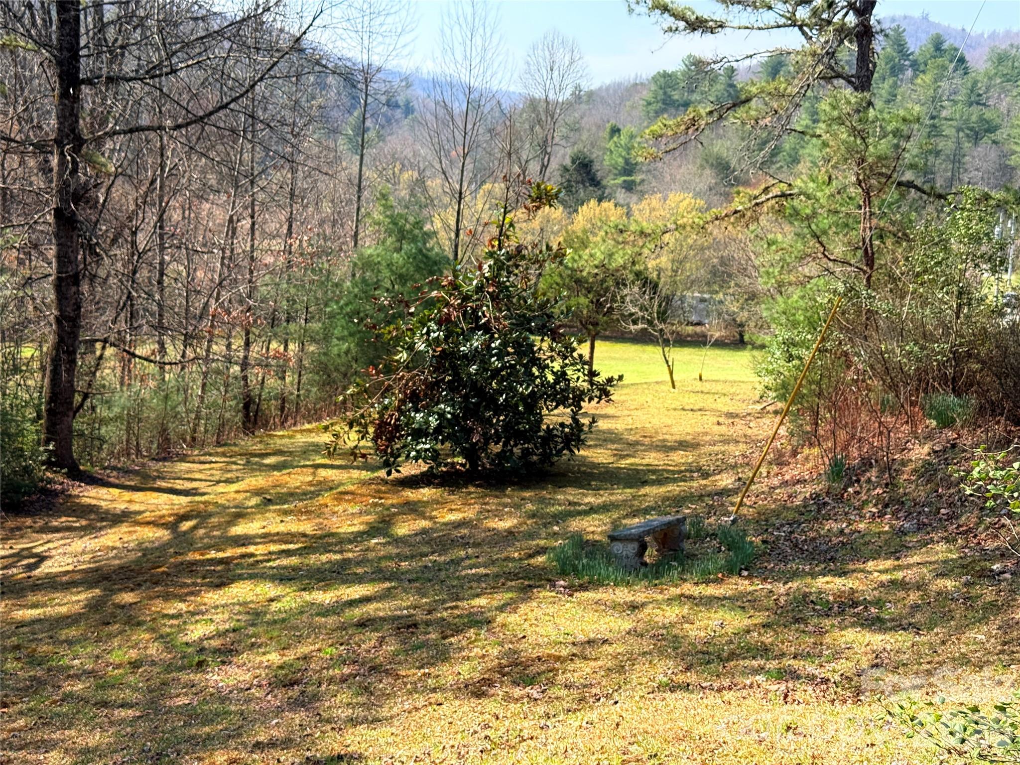128 Morgan Mountain Road Rosman, NC 28772 - Photo 4 of 48