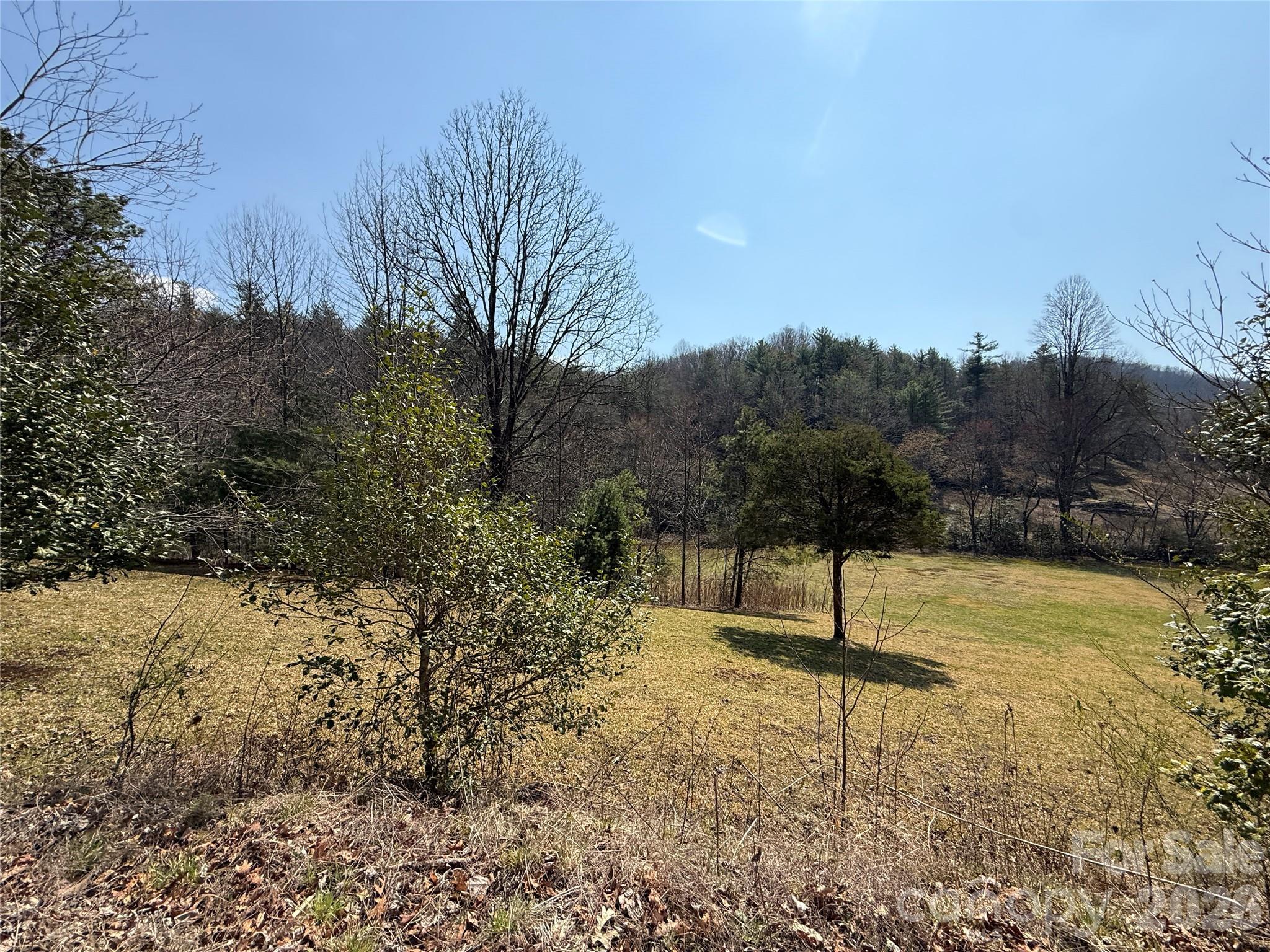 128 Morgan Mountain Road Rosman, NC 28772 - Photo 47 of 48