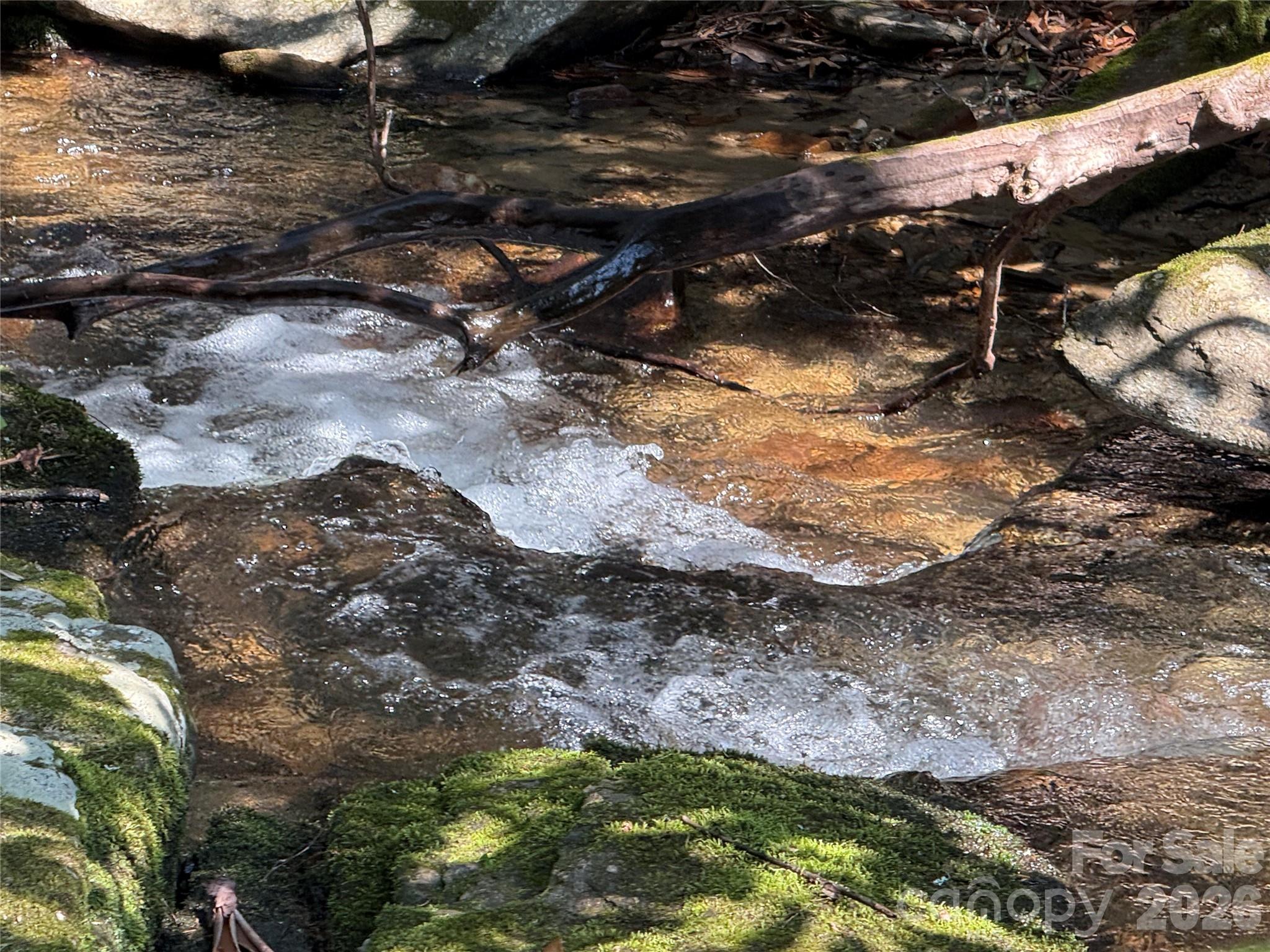 128 Morgan Mountain Road Rosman, NC 28772 - Photo 8 of 48