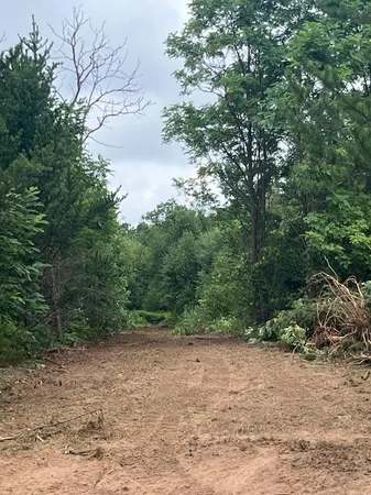 $98,000 | Xxx Xxx Bluebird Trail, Webster, WI 54893