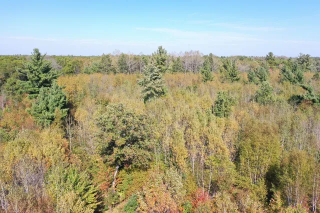 $98,000 | Xxx Xxx Bluebird Trail, Webster, WI 54893