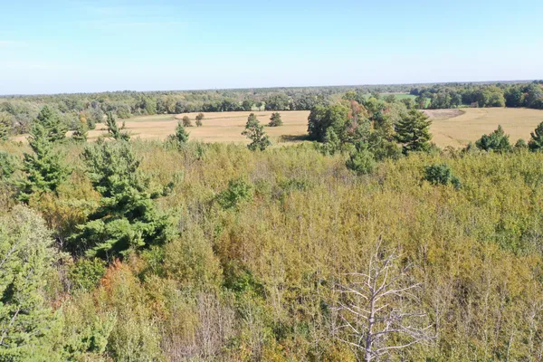 $98,000 | Xxx Xxx Bluebird Trail, Webster, WI 54893