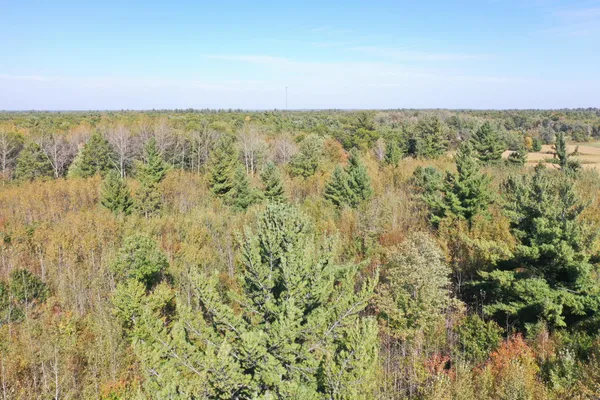 $98,000 | Xxx Xxx Bluebird Trail, Webster, WI 54893