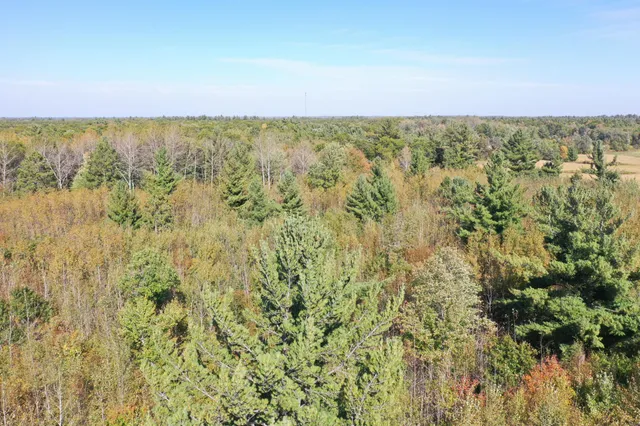 $98,000 | Xxx Xxx Bluebird Trail, Webster, WI 54893