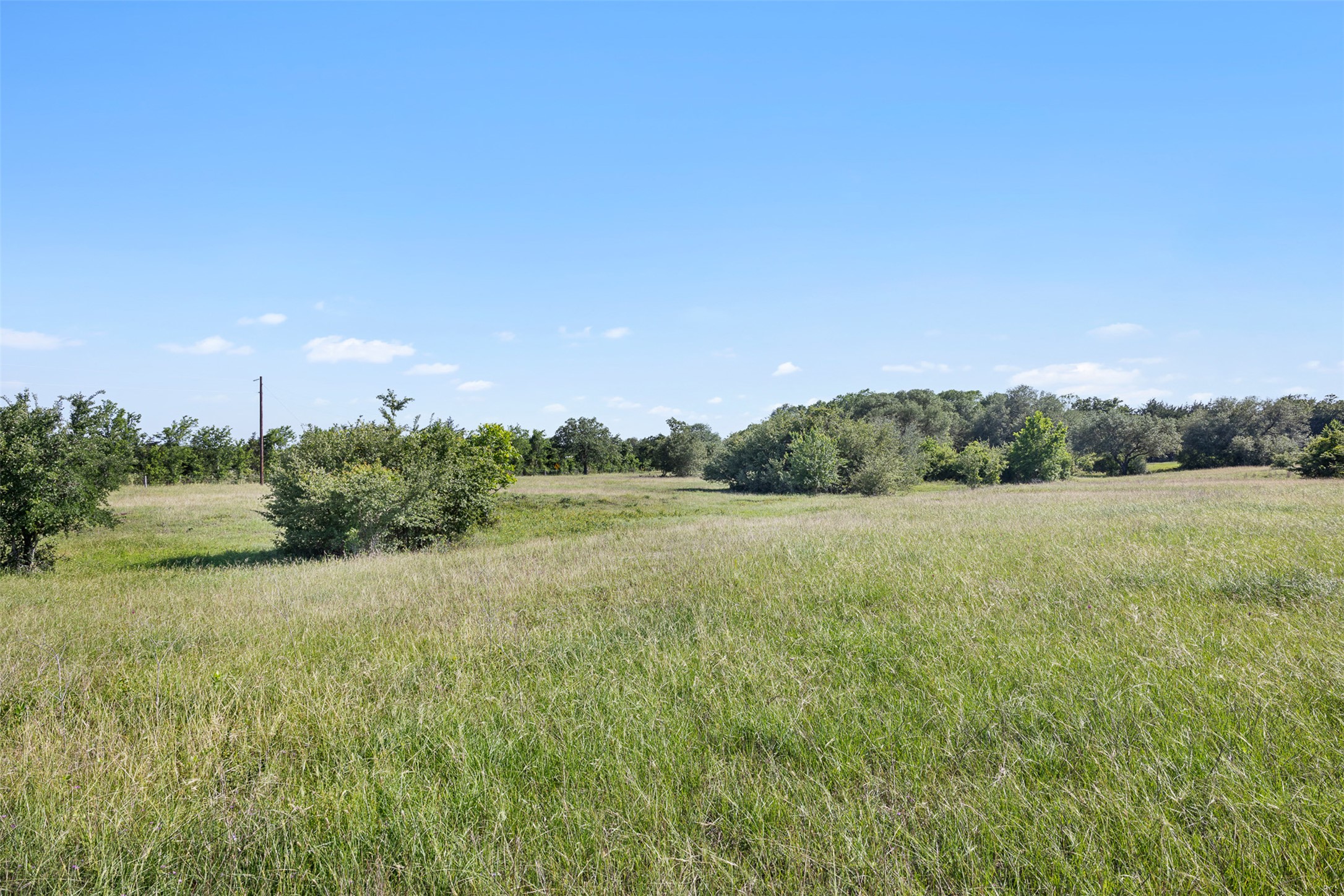 1310 North Nassau Road Round Top, TX 78954 - Photo 3 of 24