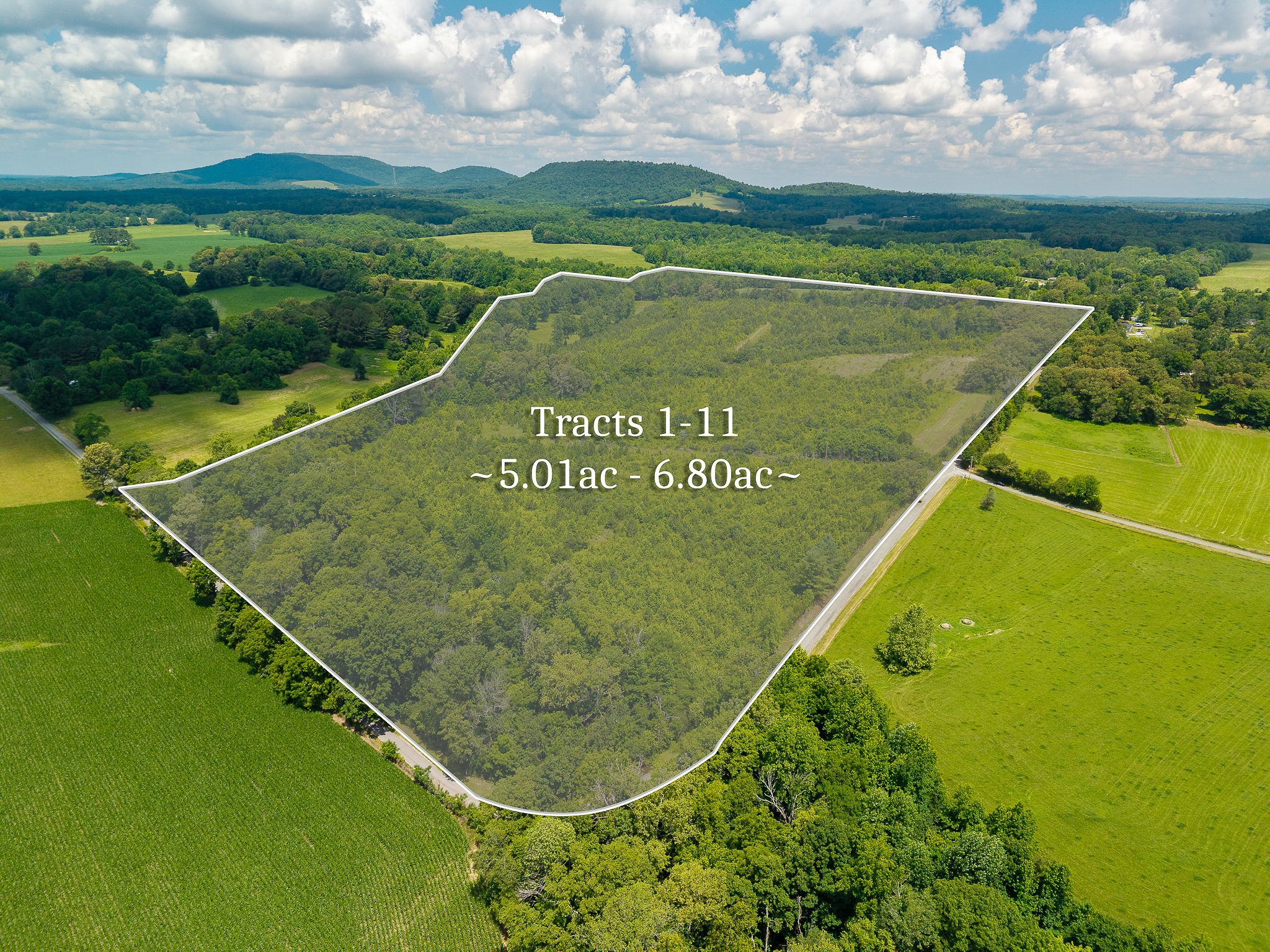 0 Gunter Road McMinnville, TN 37110 - Photo 13 of 24
