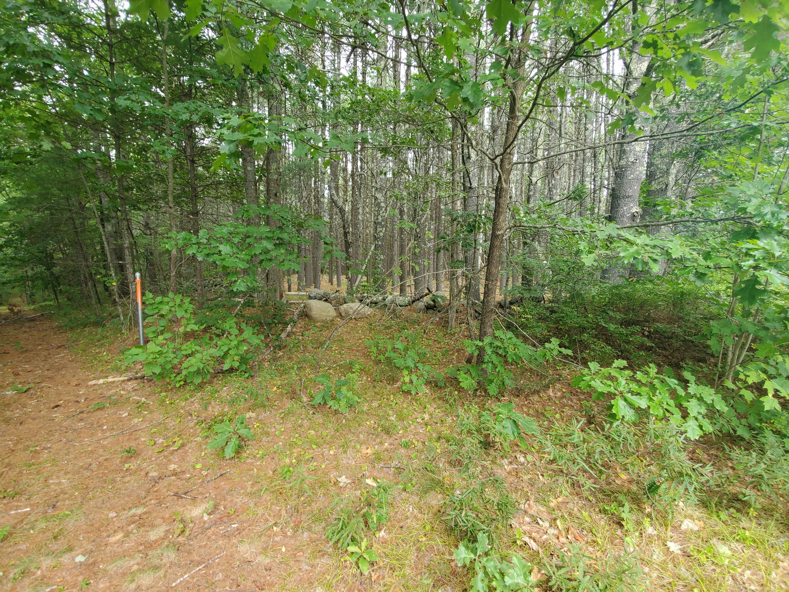 Tbd Blueberry Hill Road Alfred, ME 04002 - Photo 11 of 11 10