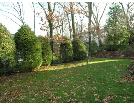259 Hillcrest Road Needham, MA 02492 - Photo 10 of 10 a backyard of a house with lots of green space