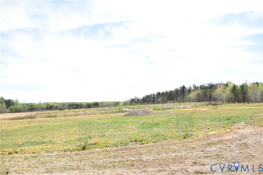 1075 Freshwater Creek Road Mineral, VA 23117 - Photo 7 of 16