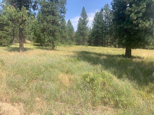0 North Madison Road Elk, WA 99009 - Photo 1 of 8