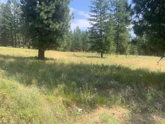 0 North Madison Road Elk, WA 99009 - Photo 2 of 8
