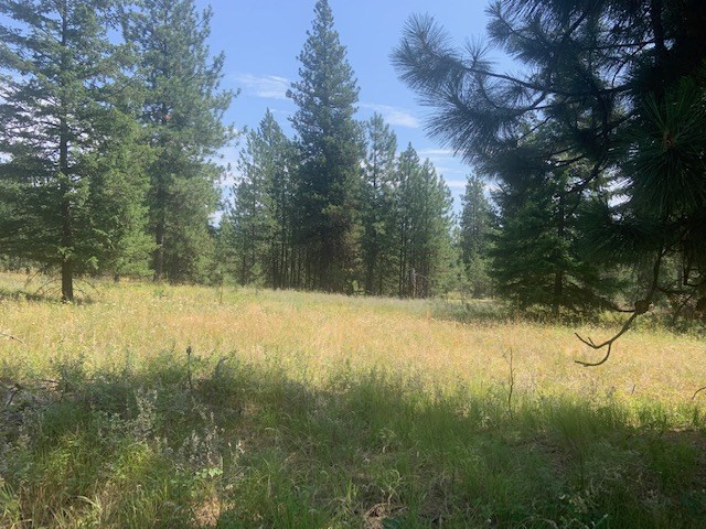 0 North Madison Road Elk, WA 99009 - Photo 3 of 8
