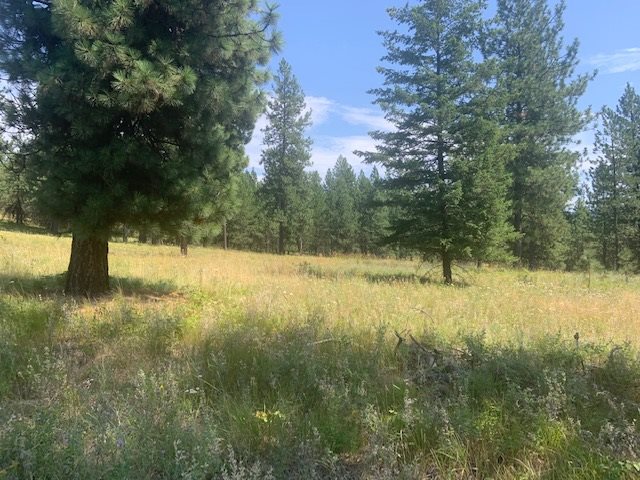0 North Madison Road Elk, WA 99009 - Photo 4 of 8