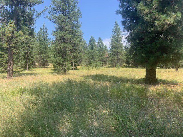 0 North Madison Road Elk, WA 99009 - Photo 5 of 8