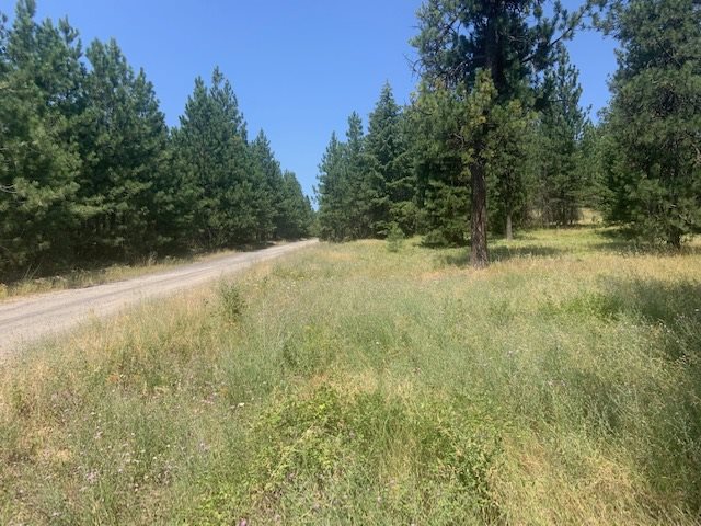 0 North Madison Road Elk, WA 99009 - Photo 6 of 8
