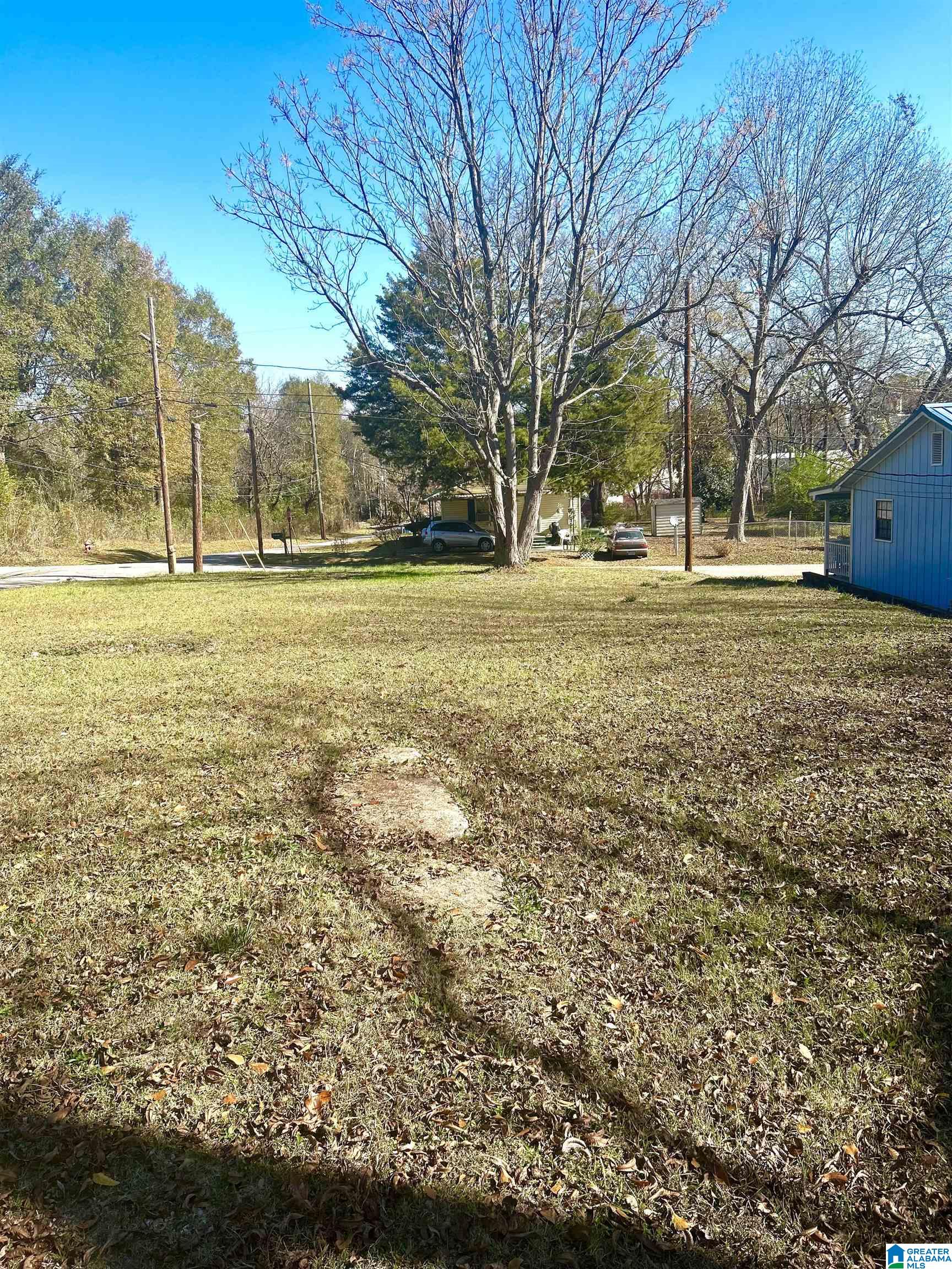 171 Ellis Street, Unit 1 Montevallo, AL 35115 - Photo 1 of 2